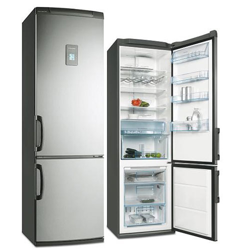 Стандартный холодильник фото